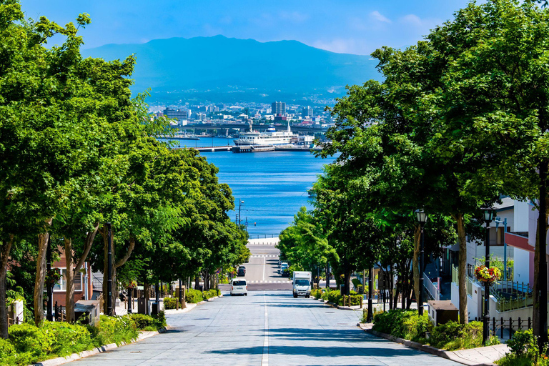 2-Day Sapporo to Hakodate Tour: Toya, Hakodate & Noboribetsu