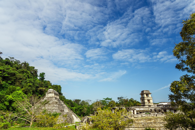 Chiapas: Palenque Admission Ticket, Mayan Temples, and Selva Viva