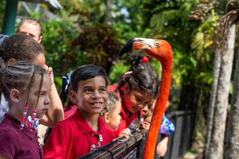 Fort Lauderdale: Flamingo Gardens Entry Ticket