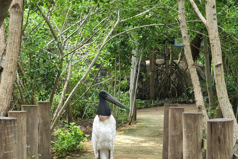 CARTAGENA: EXCURSION Baru + Aviary (entrance fee not included) + lunch