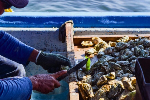 La Paz: Mangrove Adventure, Snorkeling and Shellfish Tasting