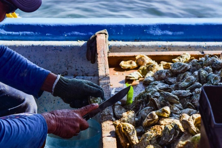 La Paz: Mangrove Adventure, Snorkeling and Shellfish Tasting