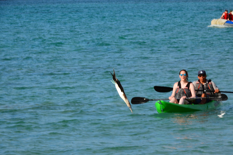 3-Day Galapagos Trip for Traveler Without Much Time