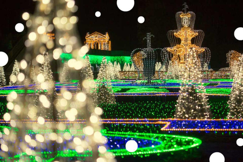 皇家花园灯光：维拉努夫宫夜间活动英语、西班牙语、德语、俄语、波兰语导览