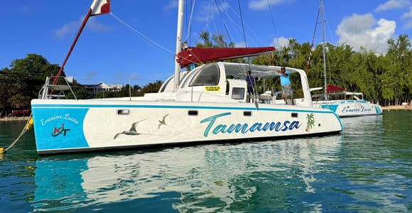 Island Vibes: Northern Isles Catamaran & Tropical BBQ