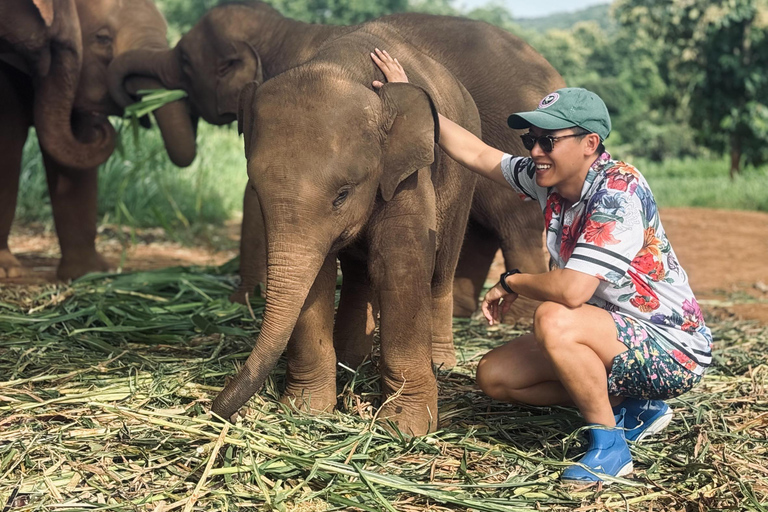 Chiang Mai: Elephant Sanctuary & Thai Cooking Workshop Meeting Point In Town