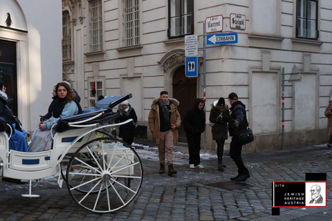 Private Jewish Vienna Imperial Masterpiece Ringstraße Tour