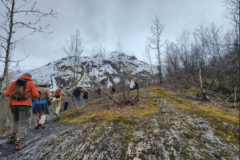 Seward: Guided Marmot Meadows Hike with Lunch
