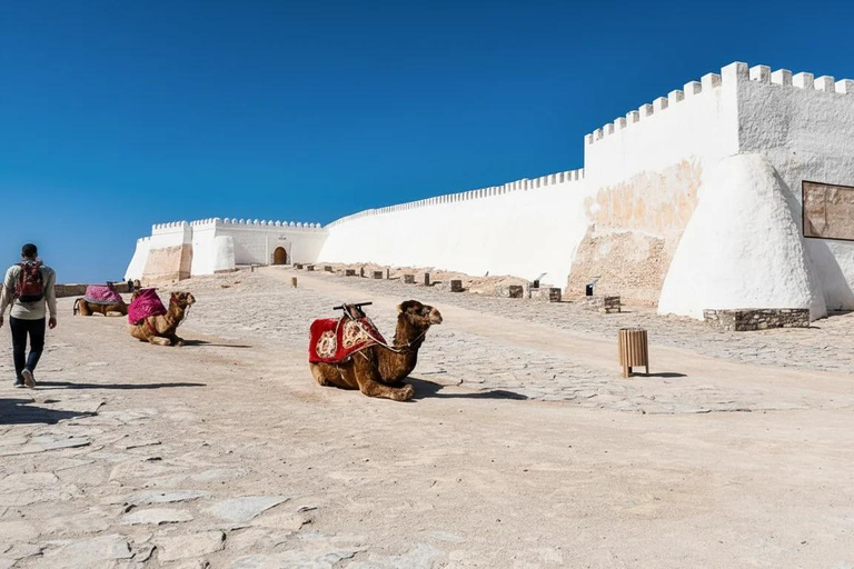 Agadir/Taghazout: Old Medina of Coco Polizzi and Agadir Tour