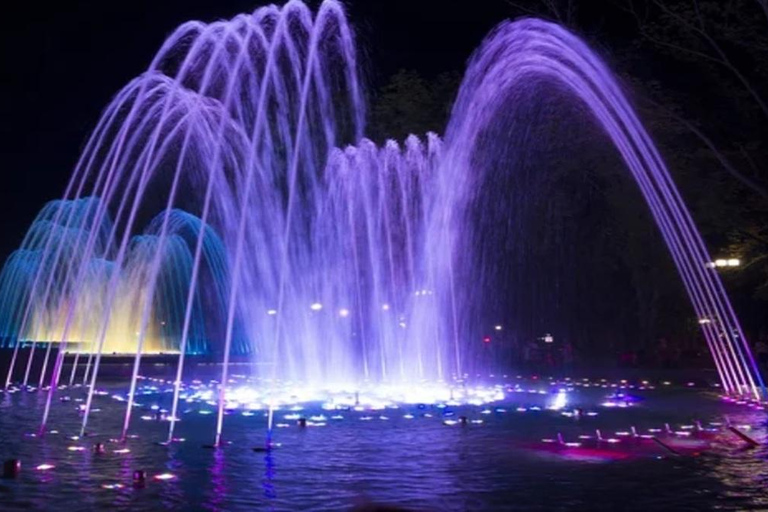 Delhi: Evening at Akshardham With Light Show &amp; Local DinnerAkshardham Water &amp; Light Show With Car + Guide