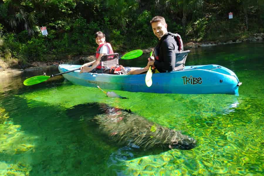 Orlando: Kajaktour mit Seekuh-Begegnung. Foto: GetYourGuide Orlando: Kajaktour mit Seekuh-Begegnung. Foto: GetYourGuide