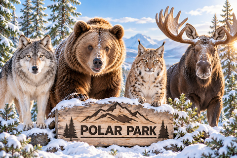 From Tromsø: Polar Park & Målselvfossen Full-Day Tour