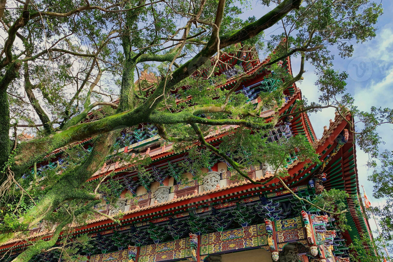 Lantau Island Big Buddha Private Tour by Vehicle & Cable Car