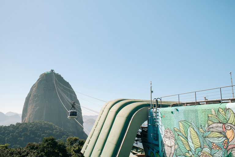 Rio de Janeiro: tour particular de 1 dia pela cidade com almoçoRio de Janeiro: Excursão particular de 1 dia pelo city tour com almoço