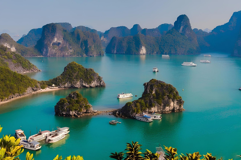 Hanoi : Best 5-Star Ha Long 1 Day Tour avec transfert en limousineVisite de Ha Long