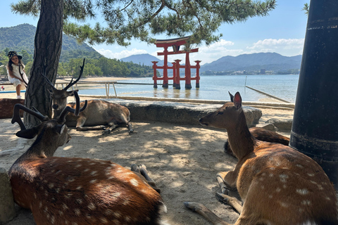Hiroshima Peace Memorial & Miyajima Private Car Tour