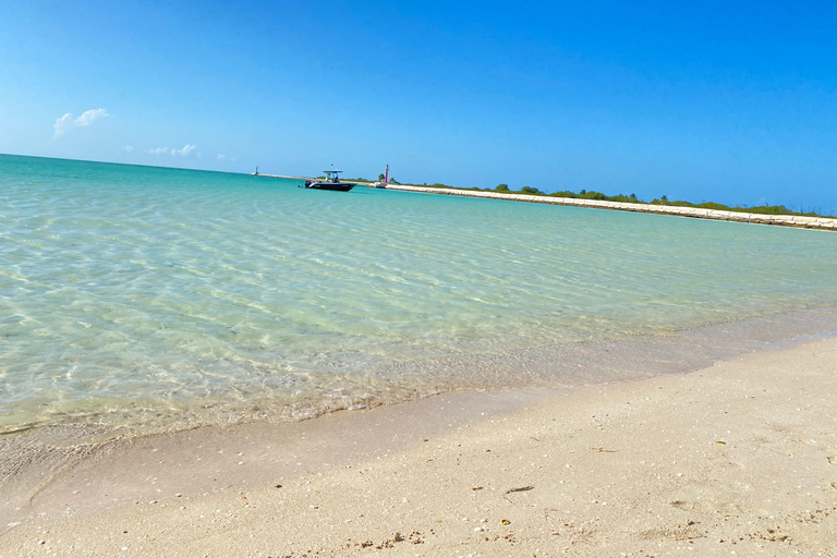 Flamingo Classic: Rio Lagartos and Las Coloradas