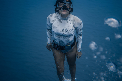 Guided Snorkel in Barcelona Beach