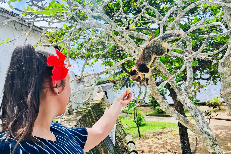 Da Colombo: tour privato all-inclusive di un giorno a Galle e MirissaGalle: tour privato di un giorno lungo la costa meridionale con snorkeling