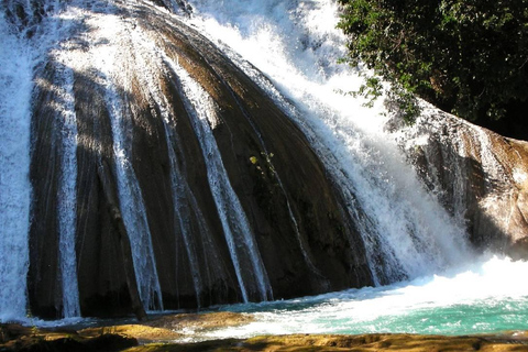 Au départ de Tuxtla Gutierrez : circuit de 4 jours à Palenque et au ChiapasDepuis Tuxtla Gutierrez : circuit de 4 jours à Palenque et au Chiapas