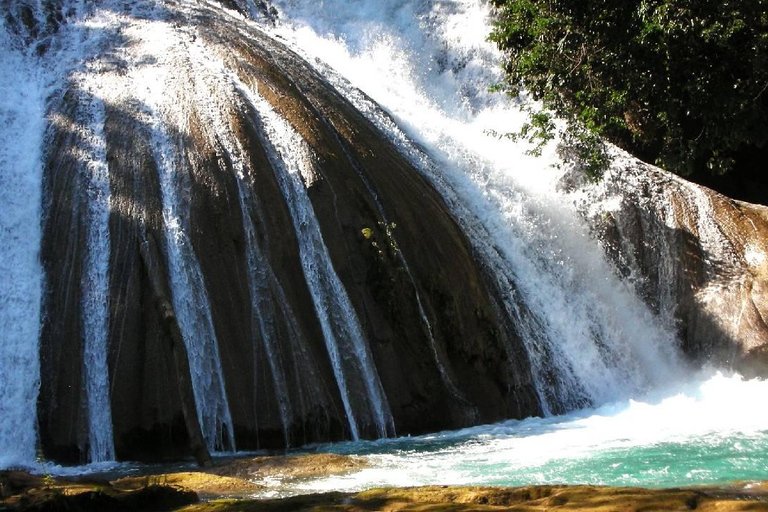 Au départ de Tuxtla Gutierrez : circuit de 4 jours à Palenque et au ChiapasDepuis Tuxtla Gutierrez : circuit de 4 jours à Palenque et au Chiapas