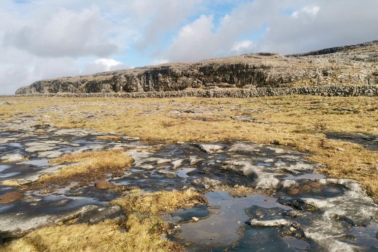 Acantilados de Moher: Tour privado de lujo desde Dublín