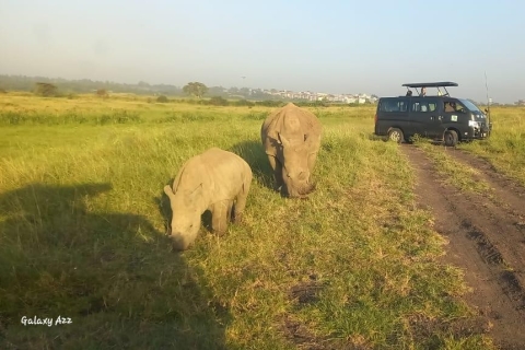 Safari por el Parque Nacional de Nairobi
