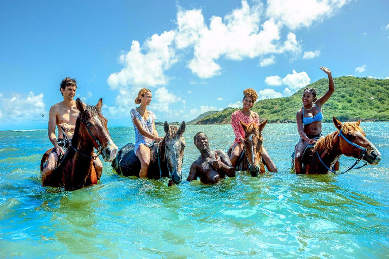 Saint Lucia Horseback Riding: Explore the Island in Style