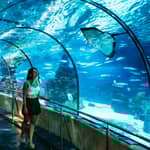 Acquario di Barcellona: biglietto d'ingresso