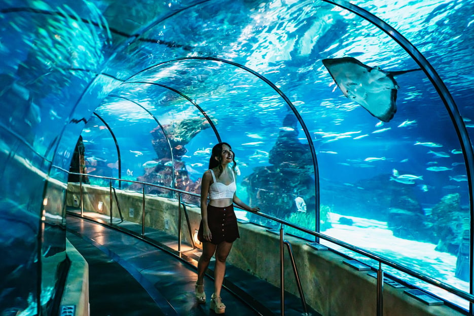 Barcelona Aquarium: Ticket ohne Anstehen