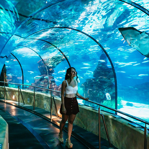 Barcelona Aquarium: Skip-the-Line Admission Ticket