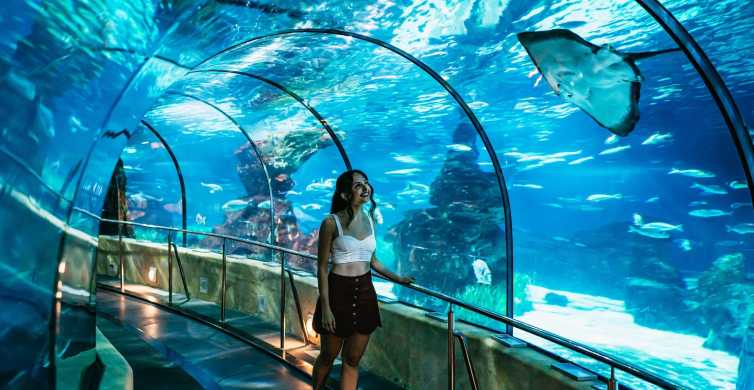 Barcelonan akvaario: Ohita jono -pääsylippu