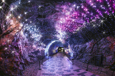 From Seoul: Gwangmyeong Cave Private Tour with Hotel Pickup