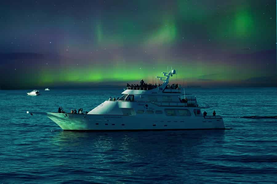 Reykjavik: Nordlicht Yacht Tour. Foto: GetYourGuide