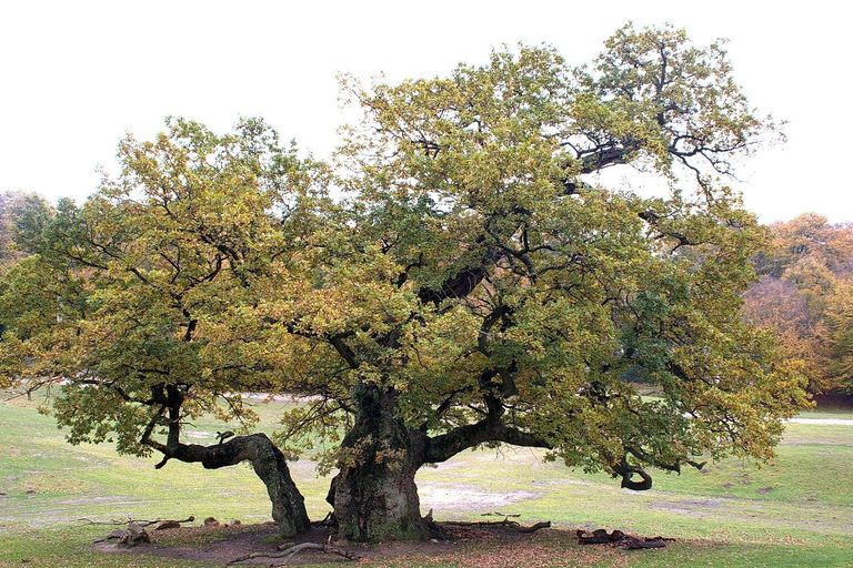 Copenhagen: Deer Park and Hermitage Palace Guided Walk