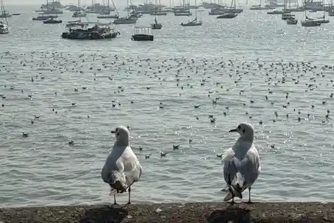 Uma sinfonia de sete ilhas - Descobre Mumbai num dia