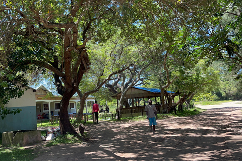 Maputo: Whale Watching, Day Trip