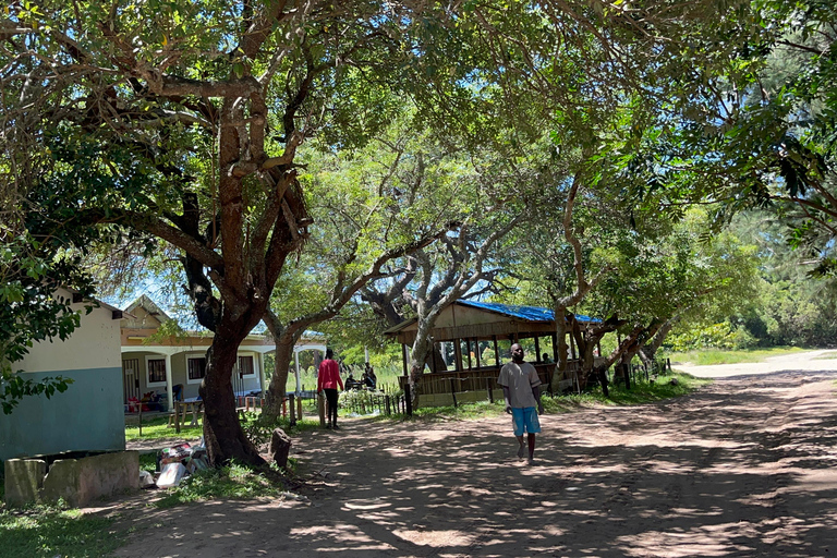 Maputo: Whale Watching, Day Trip