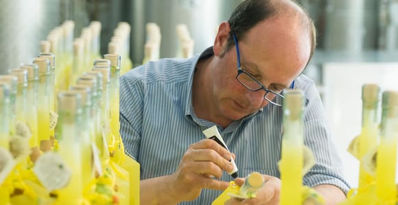 Amalfi: Vertikale Zitronenfarm-Tour, Verkostungen und ländliches Museum