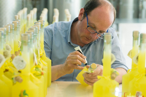 Amalfi: Vertical Lemon Farm Tour, Tastings, and Rural Museum