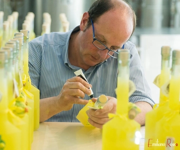 Amalfi: Vertical Lemon Farm Tour, Tastings, and Rural Museum