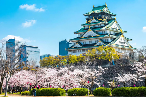 Kyoto, Nara, or Osaka: Private Day Trip with Guide and Car