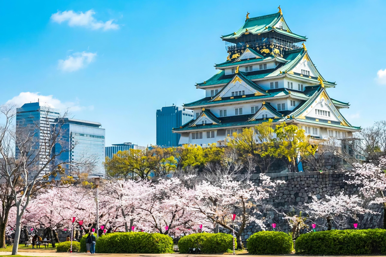 Kyoto, Nara, or Osaka: Private Day Trip with Guide and Car