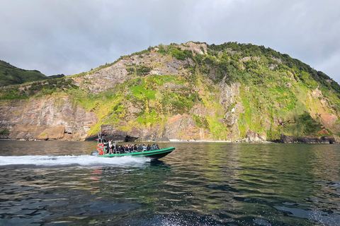 Trip to Vulcanic Corvo Island Including Island Sightseeing