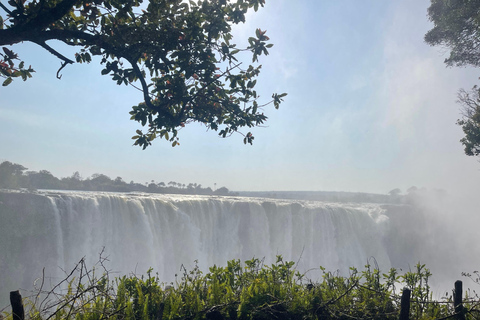 Victoria Falls: Guided Walking Tour with Local Female Guide