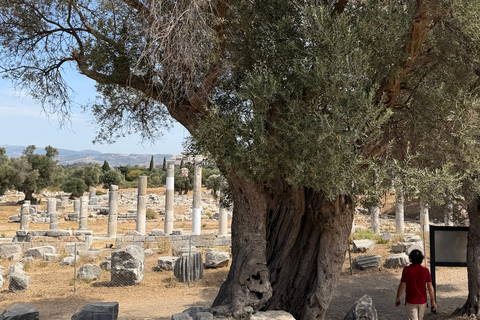 From Kusadasi: Hidden Coast & Teos Dionysus by Tuk-Tuk Self Arrival