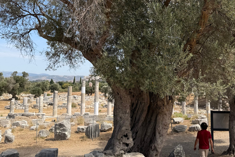 From Kusadasi: Hidden Coast & Teos Dionysus by Tuk-Tuk Self Arrival