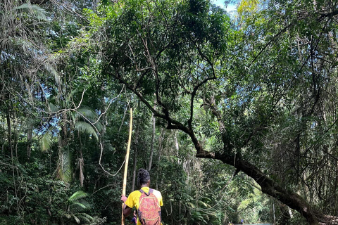 Martha Brae River Rafting - prywatna wycieczka z transportemZ Montego Bay