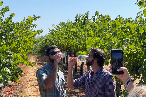 Sonoma Valley: Guided Winery Tour with Picnic Lunch