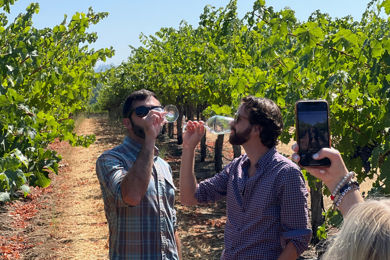 Sonoma Valley: Guided Winery Tour with Picnic Lunch